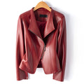 Clarisse Sheepskin Moto Jacket